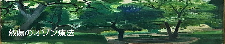 熱傷のオゾン療法